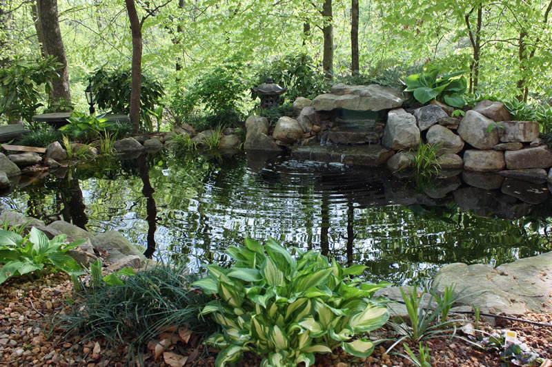 koi pond design and installation project