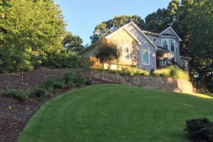 backyard landscape design and installation project